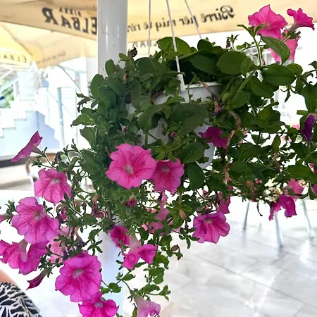 Family House & Free Parking Golem, Durres Apartament *