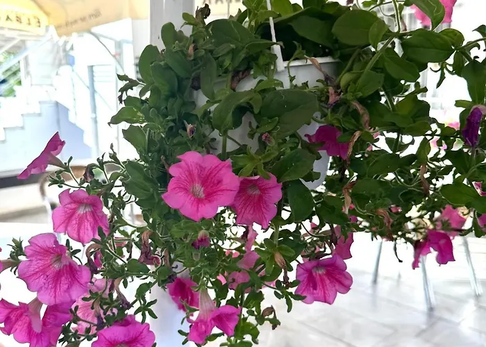 Family House & Free Parking Golem, Durres Apartment *